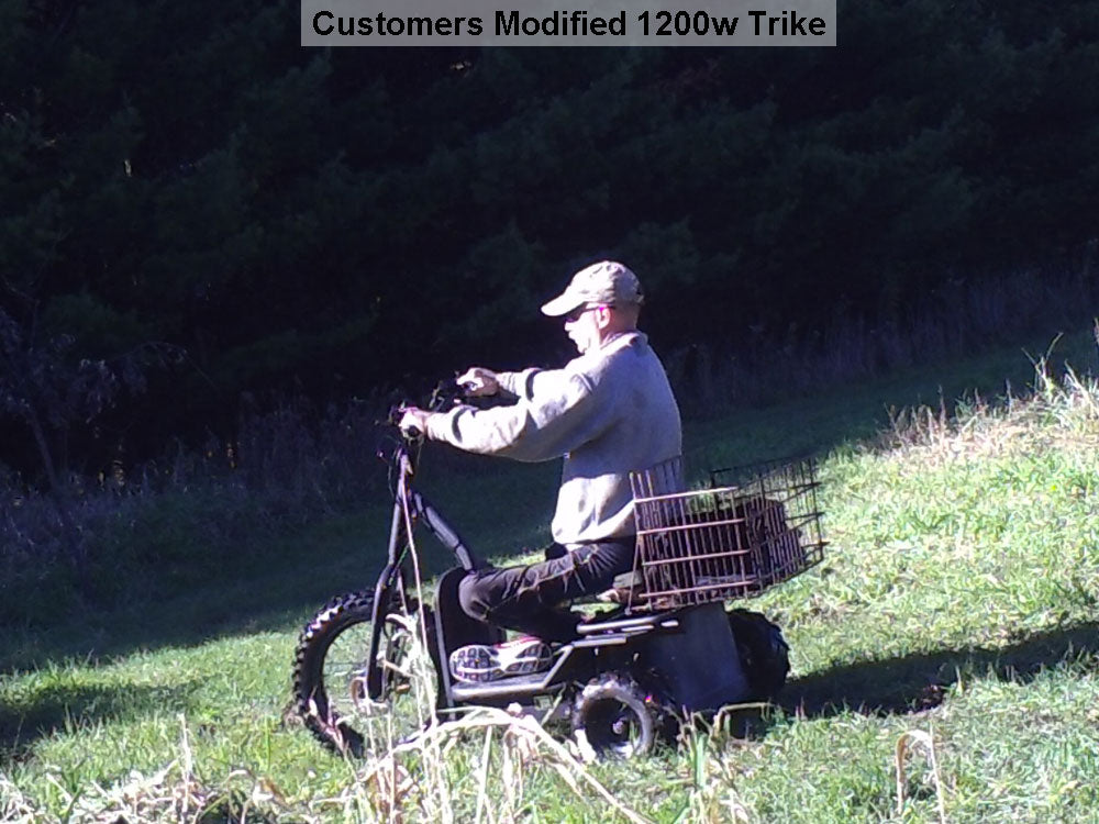 Electric Trike 48v 1200w